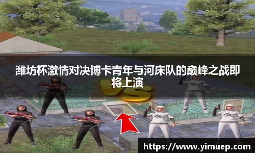 快盈VIII